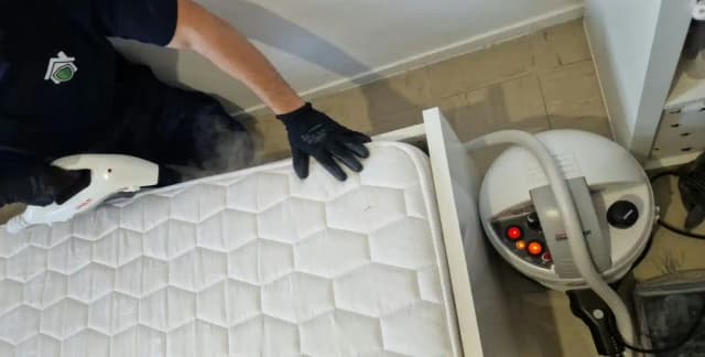 Traitement vapeur punaises de lit professionnel à Lyon par Nuisi'Guard