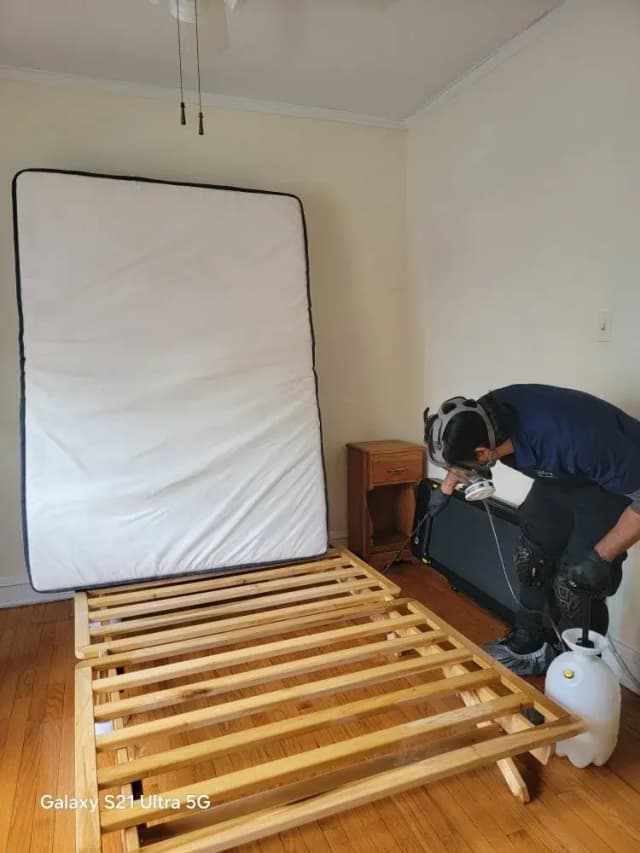 Traitement punaises de lit chambre à Saint-Étienne par Nuisi'Guard